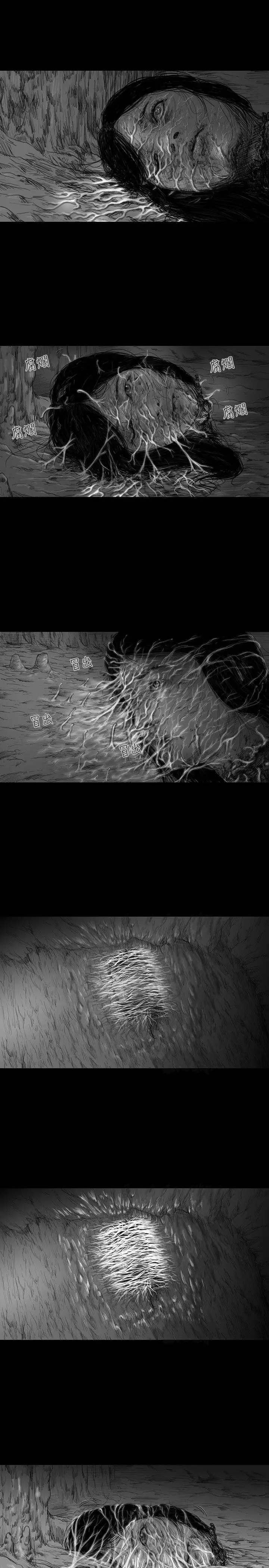 SEEDTheBeginning第7话