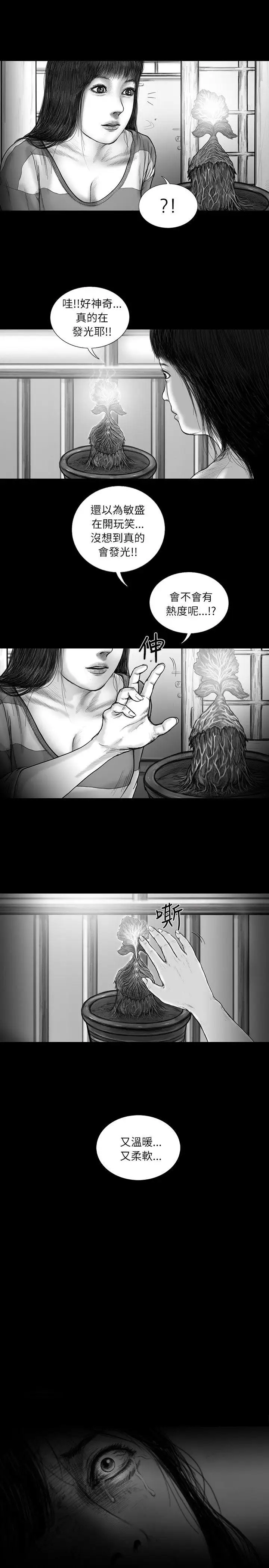 SEEDTheBeginning第12话