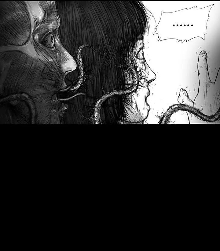 SEEDTheBeginning第22话