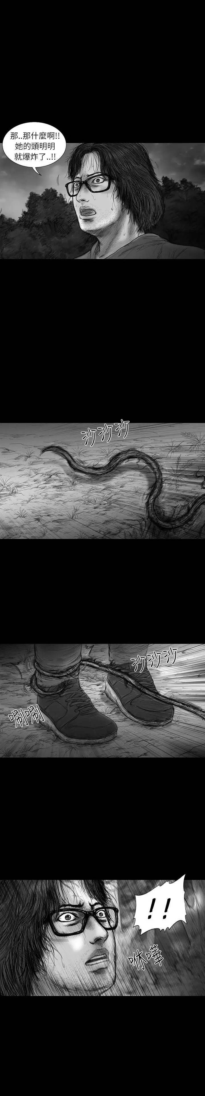 SEEDTheBeginning第29话