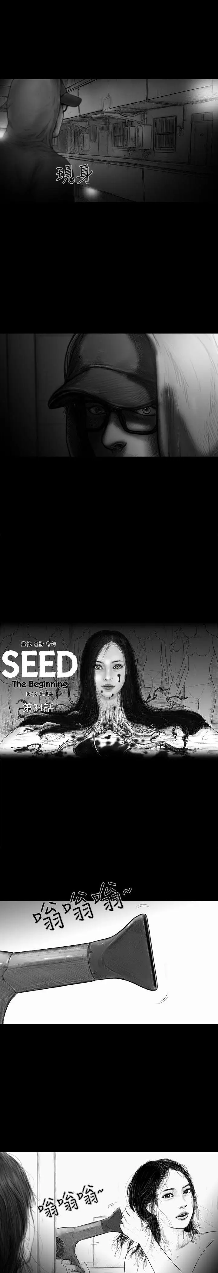 SEEDTheBeginning第34话