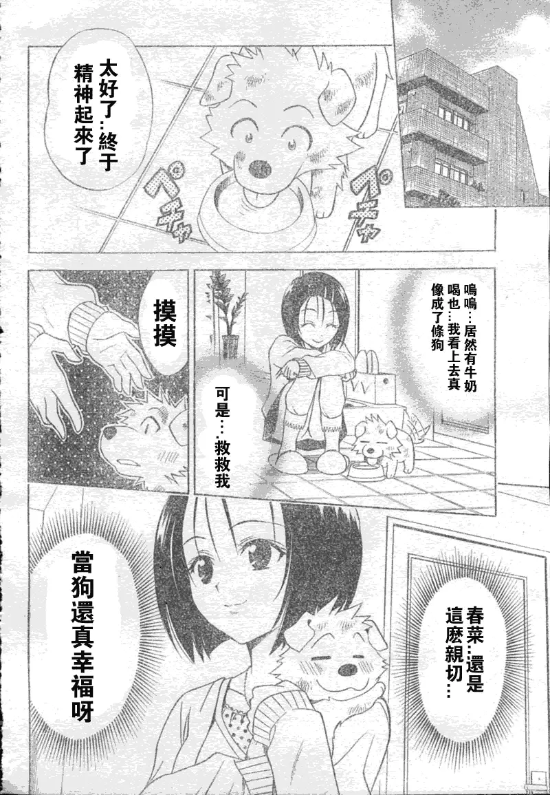 出包王女tolove043集