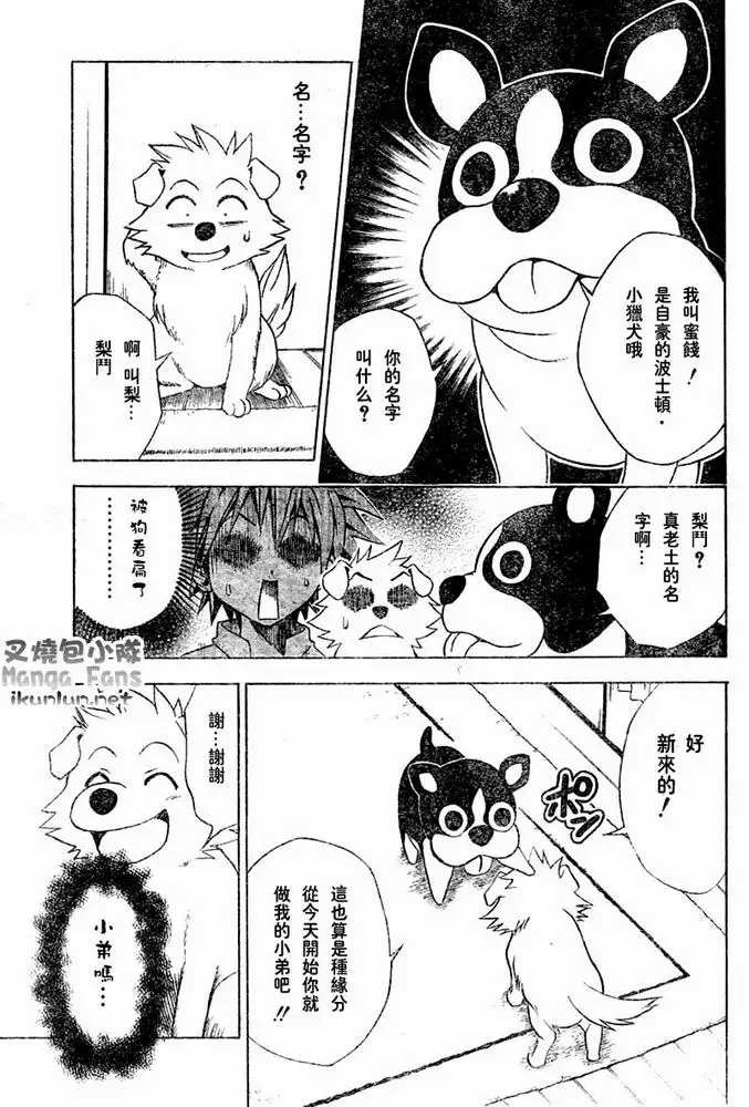 出包王女tolove044集