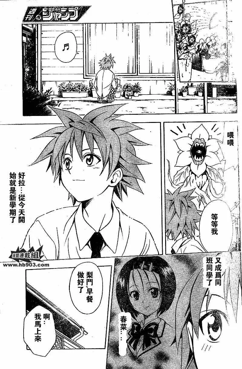 出包王女tolove049集