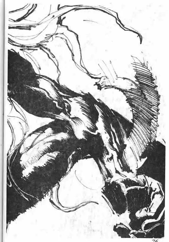 暗黑破坏神第14卷