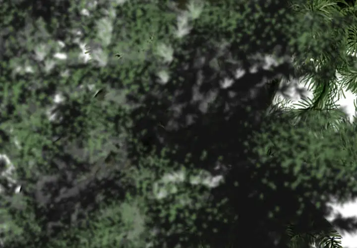 美人为馅第15话