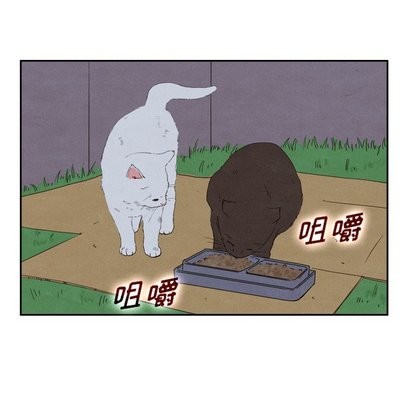 泰珠小姐的完美婚姻生活第43话