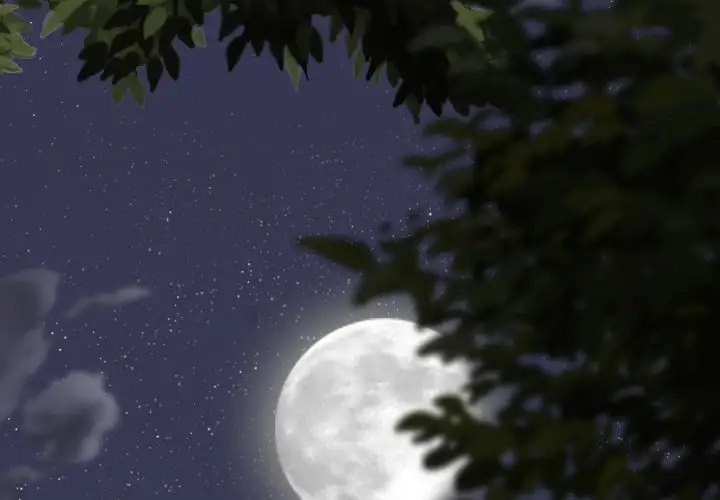 美人为馅第34话