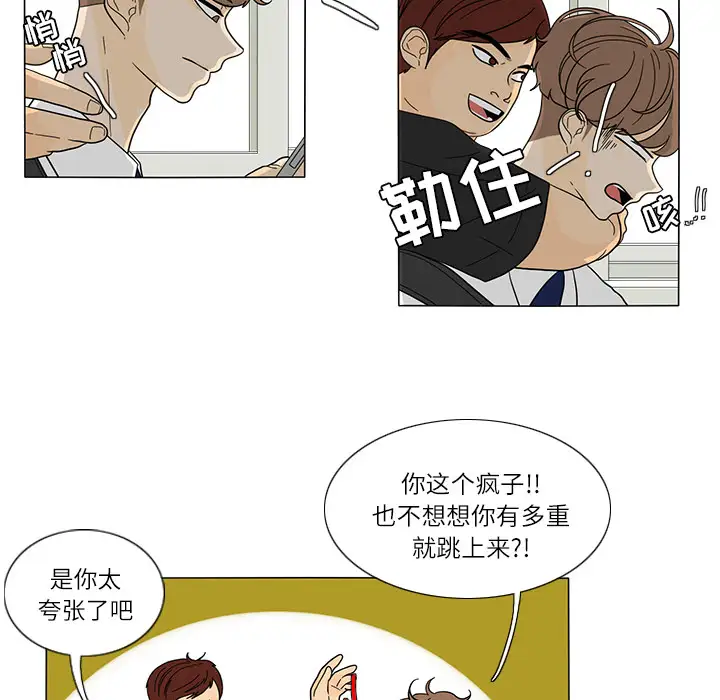 鱼缸中的花园第25章