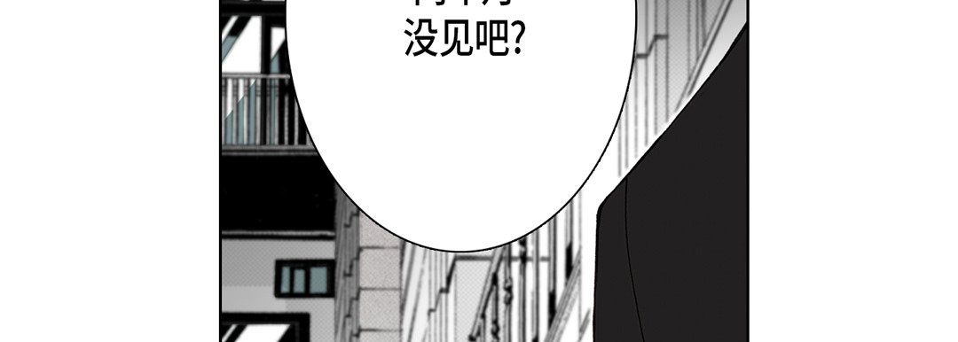 完美无缺的虏获第12话