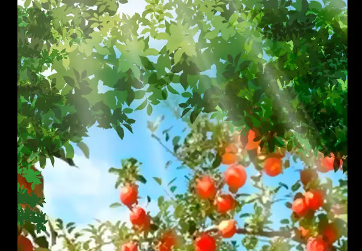 雷普利爱情第32话