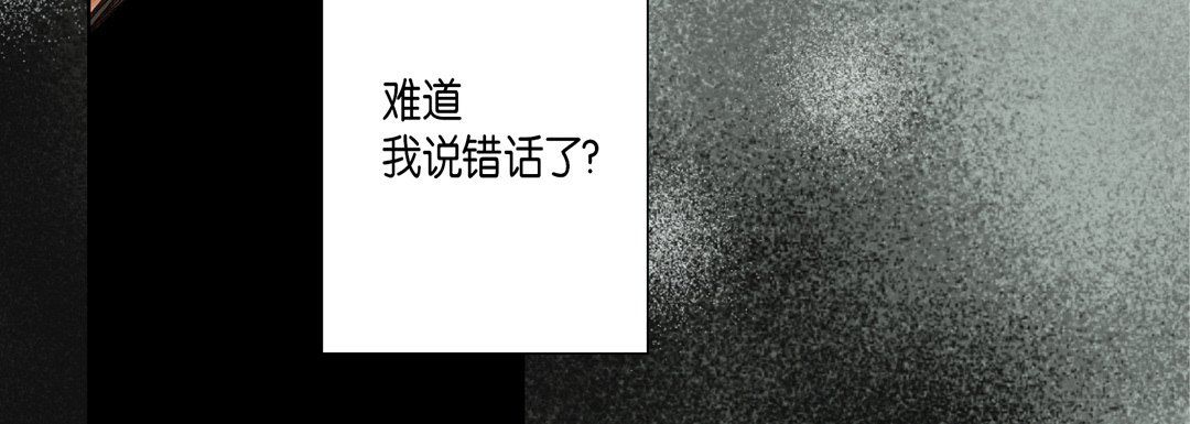 完美无缺的虏获第25话