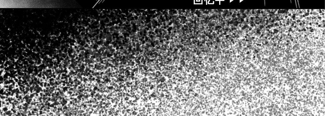 完美无缺的虏获第27话