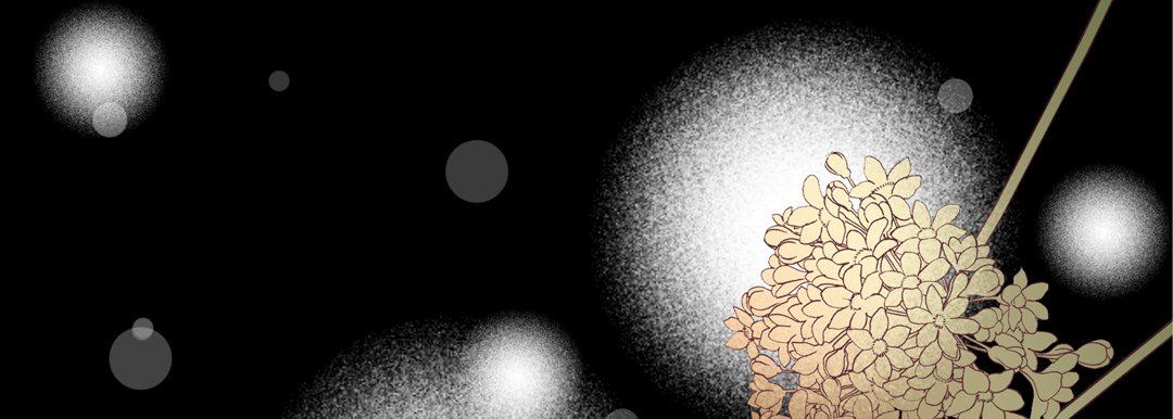 完美无缺的虏获第35话