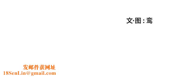 为何偏偏是你第14话