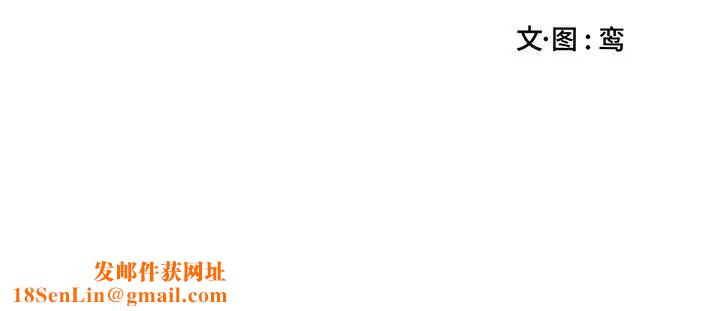 为何偏偏是你第29话