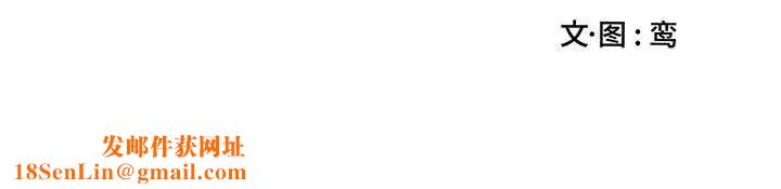 为何偏偏是你第38话