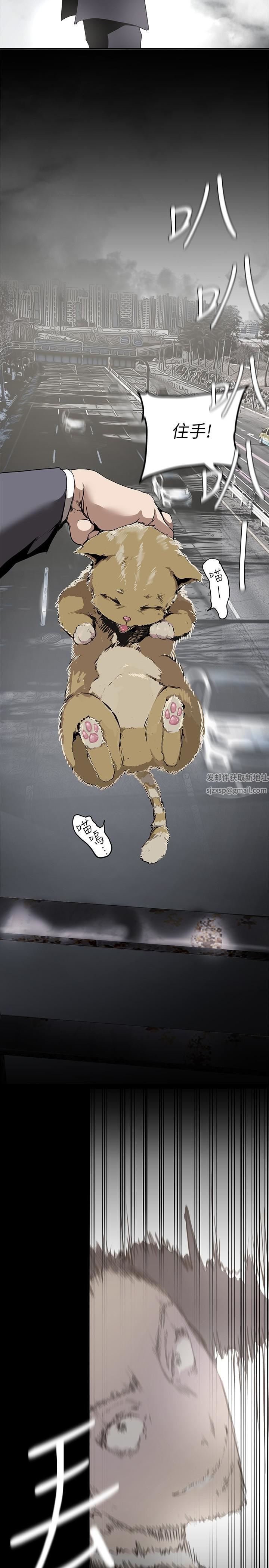 美丽新世界第170话-要不要来我傢看猫?