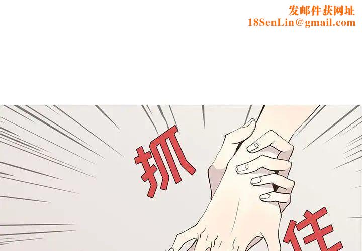 野性之城第26章