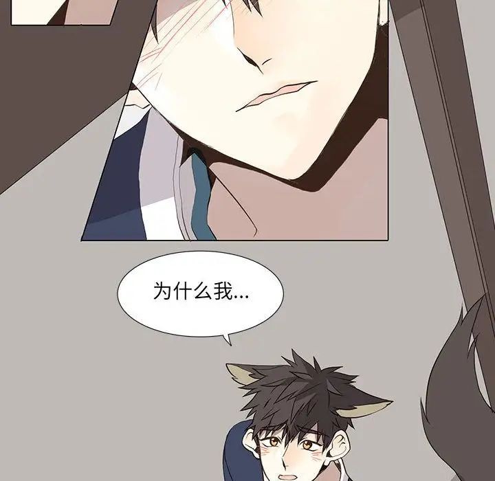 野性之城第28章