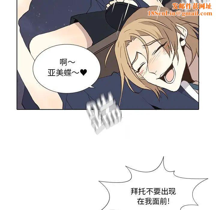 野性之城第28章