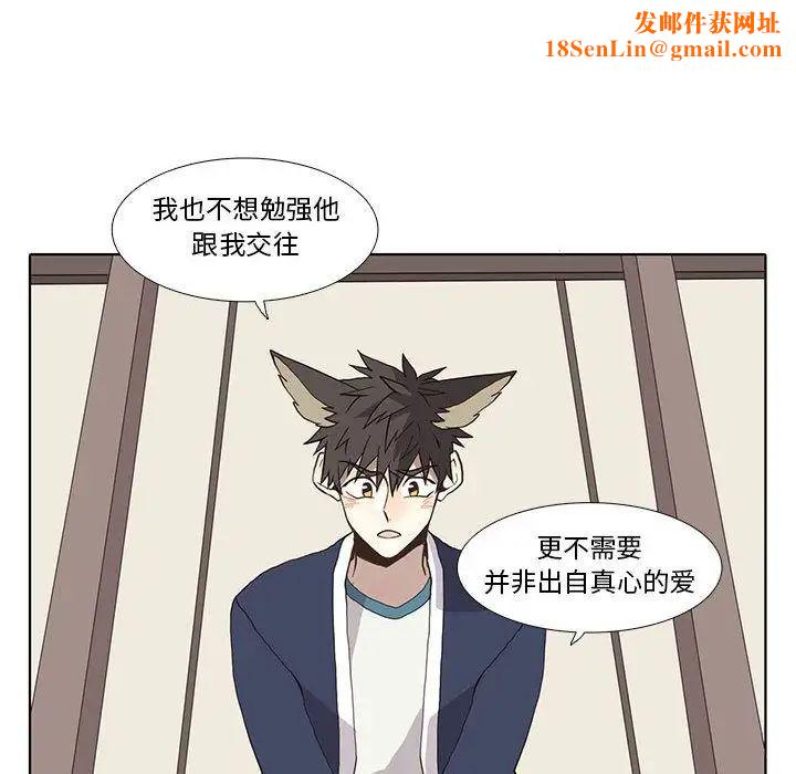 野性之城第29章