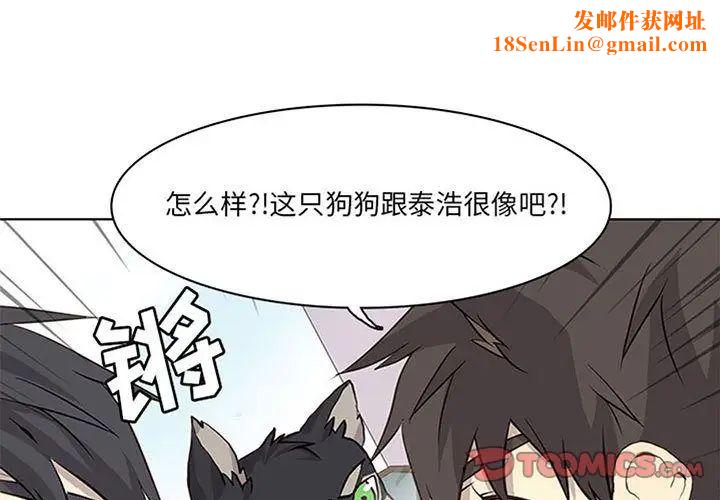 野性之城第36章