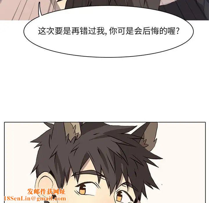 野性之城第36章