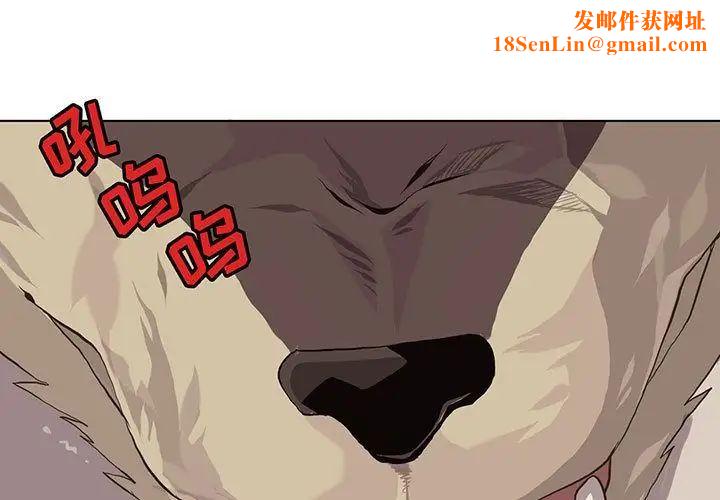 野性之城第41章