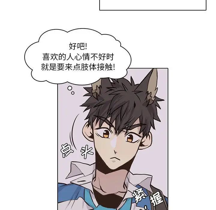 野性之城第42章