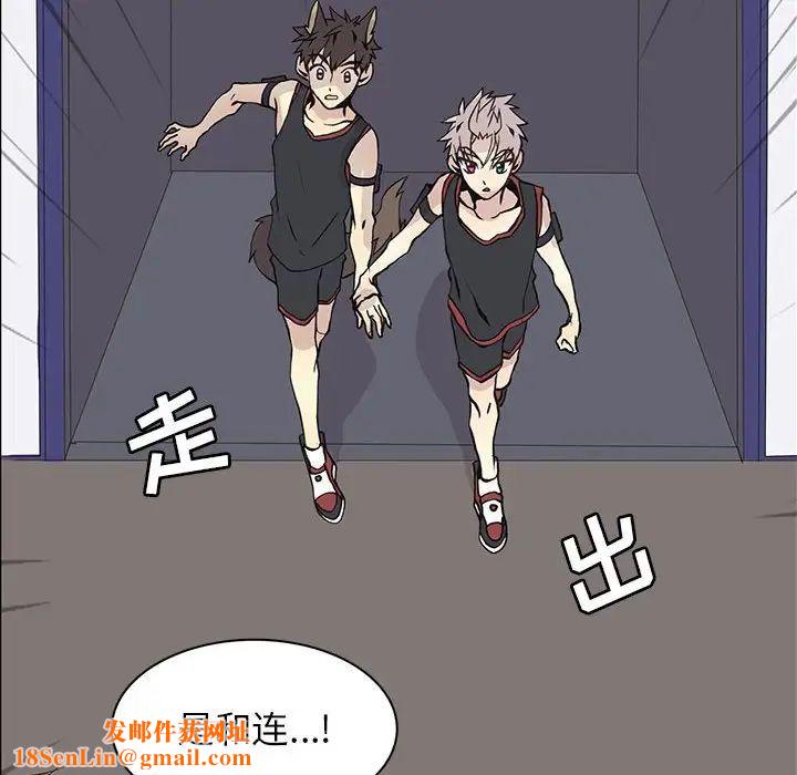 野性之城第56话