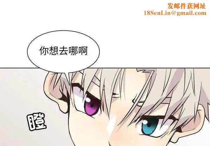 野性之城第90话