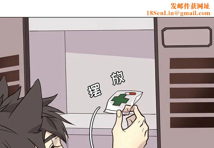 野性之城第91话