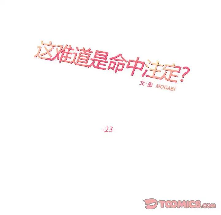 这难道是命中注定第23话