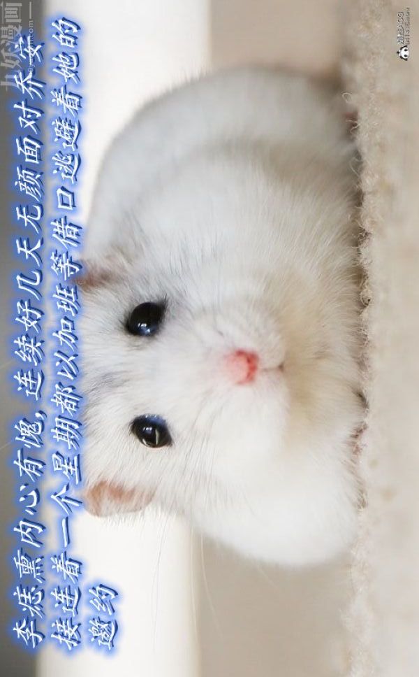 [3D]陈乔安传第29话