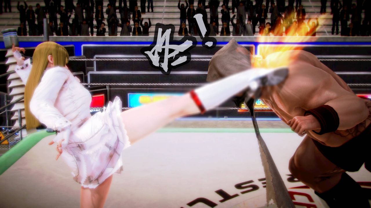 [3D]格斗傢们格斗家们Fighters3