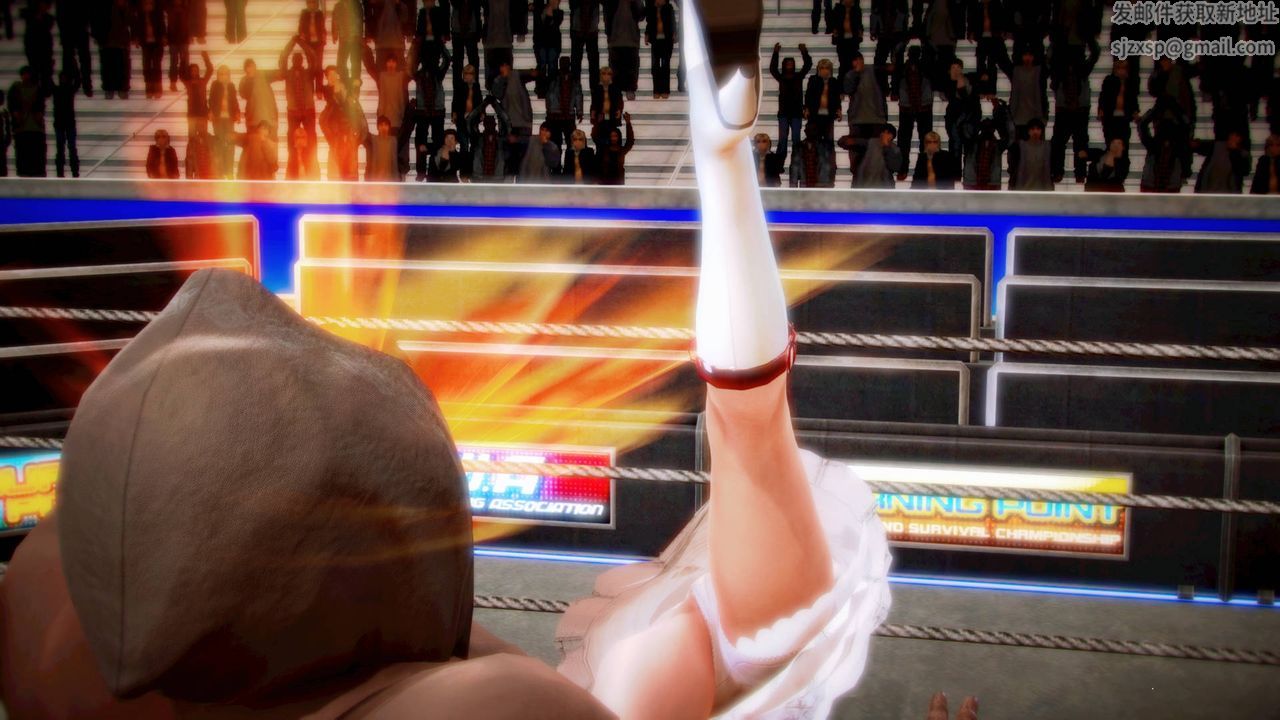 [3D]格斗傢们格斗家们Fighters3