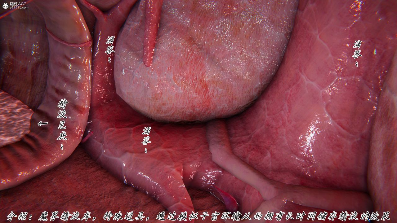 [3D]新宠物捕捉大师第45话-最终话