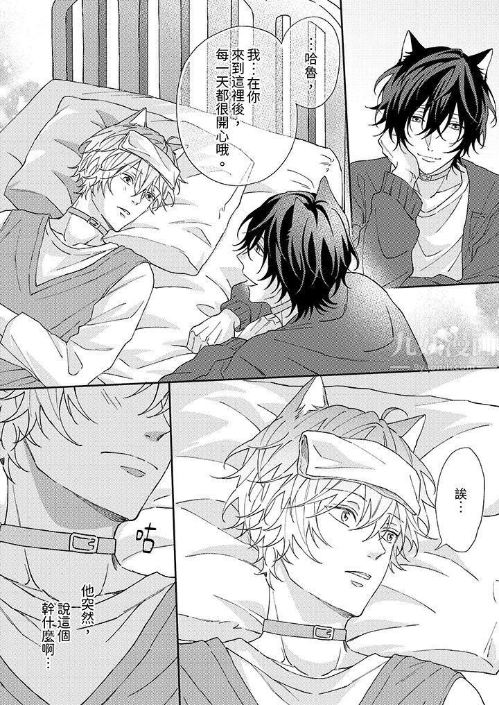 哈鲁和路伊的二喵世界lovelife！第2话