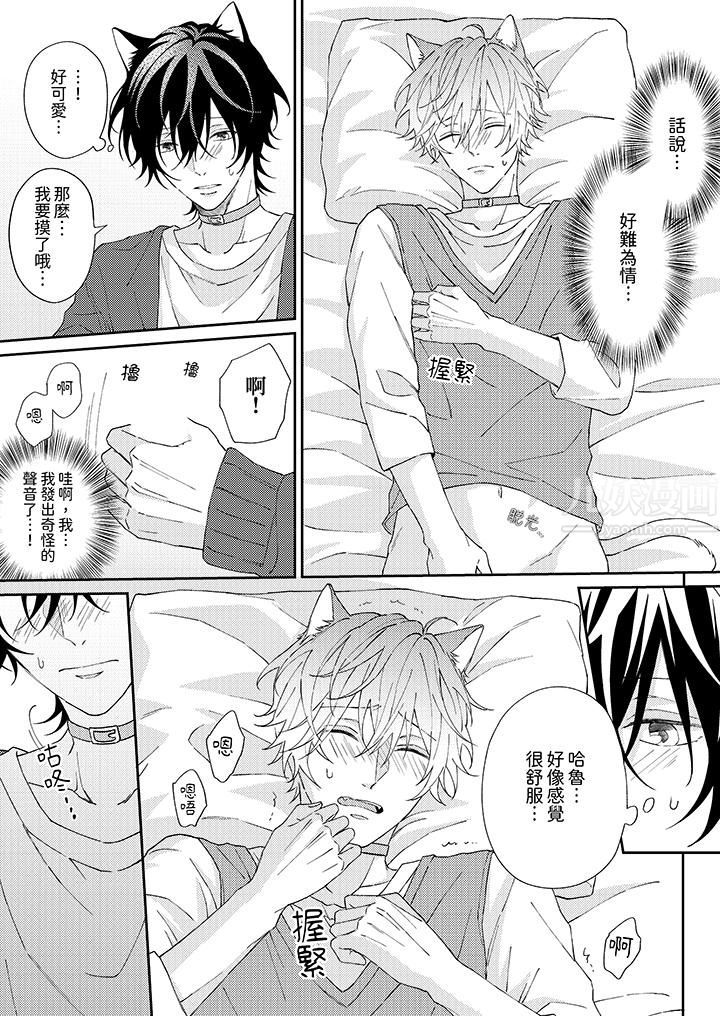 哈鲁和路伊的二喵世界lovelife！第2话