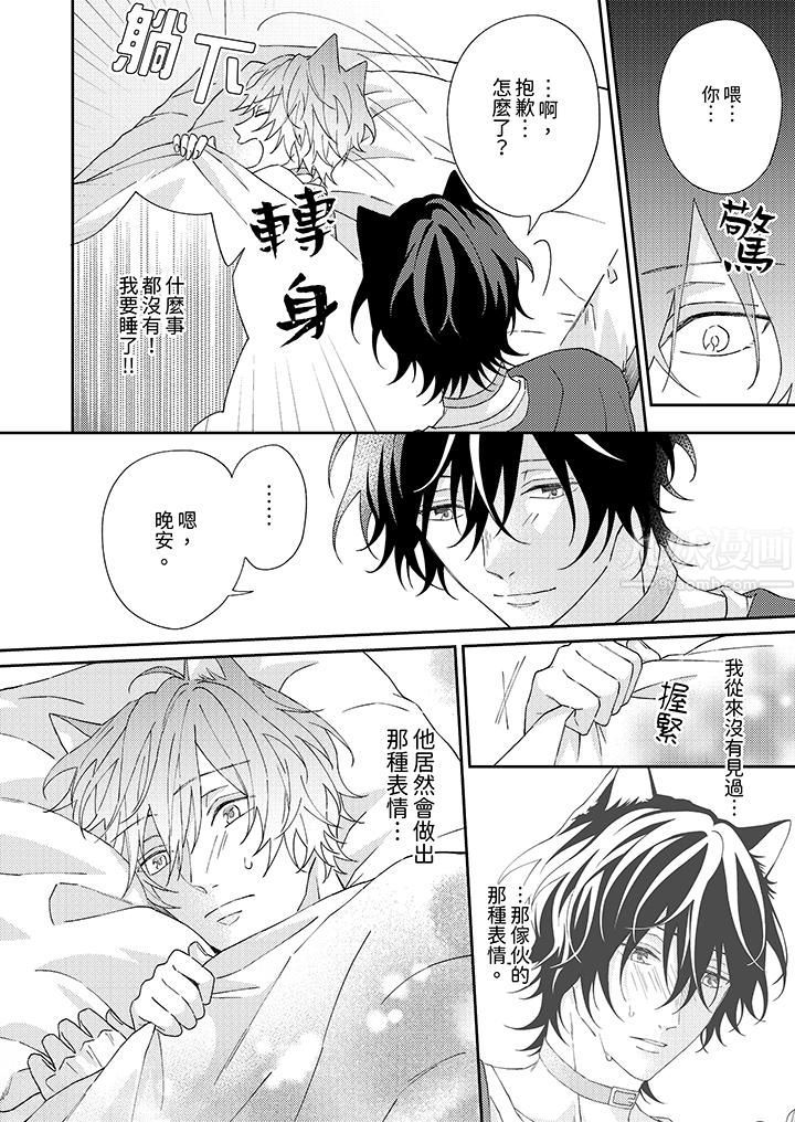 哈鲁和路伊的二喵世界lovelife!第2话