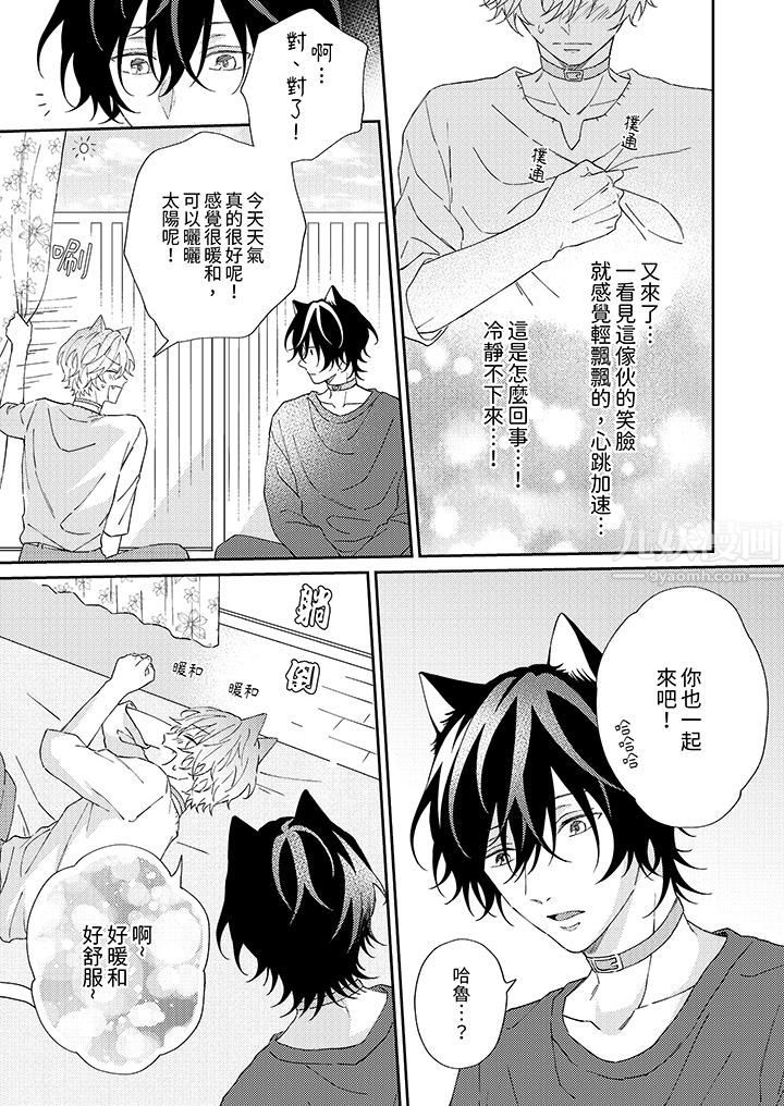 哈鲁和路伊的二喵世界lovelife!第3话