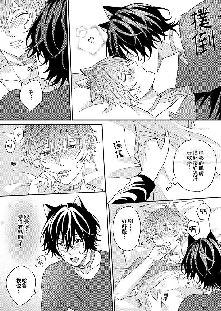 哈鲁和路伊的二喵世界lovelife!第8话