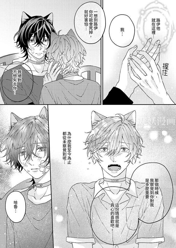 哈鲁和路伊的二喵世界lovelife！第12话