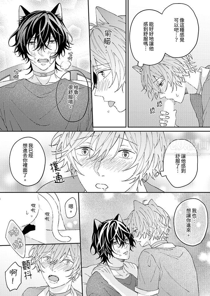 哈鲁和路伊的二喵世界lovelife！第12话