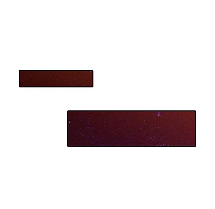 阔少的女仆们第24话