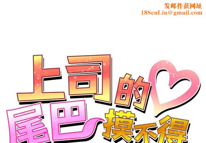 上司的尾巴摸不得第14话
