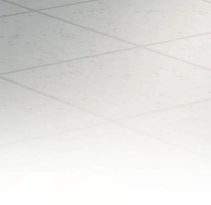 我靠升级逆袭成为大师第6话