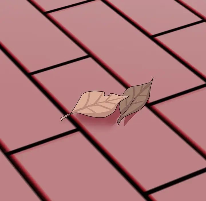 我的完美缪斯第37话