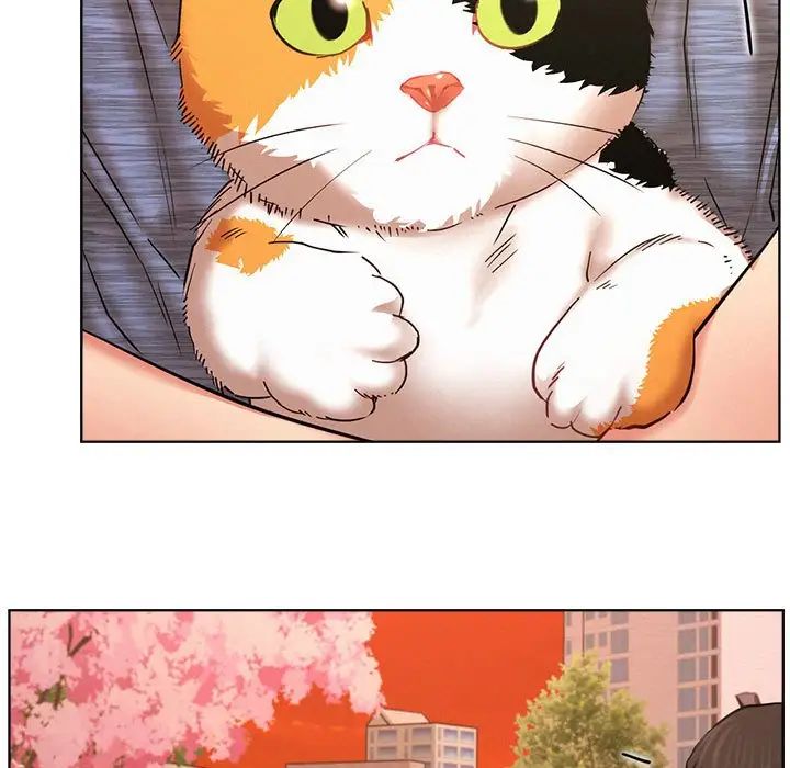 屋檐下的光第33话